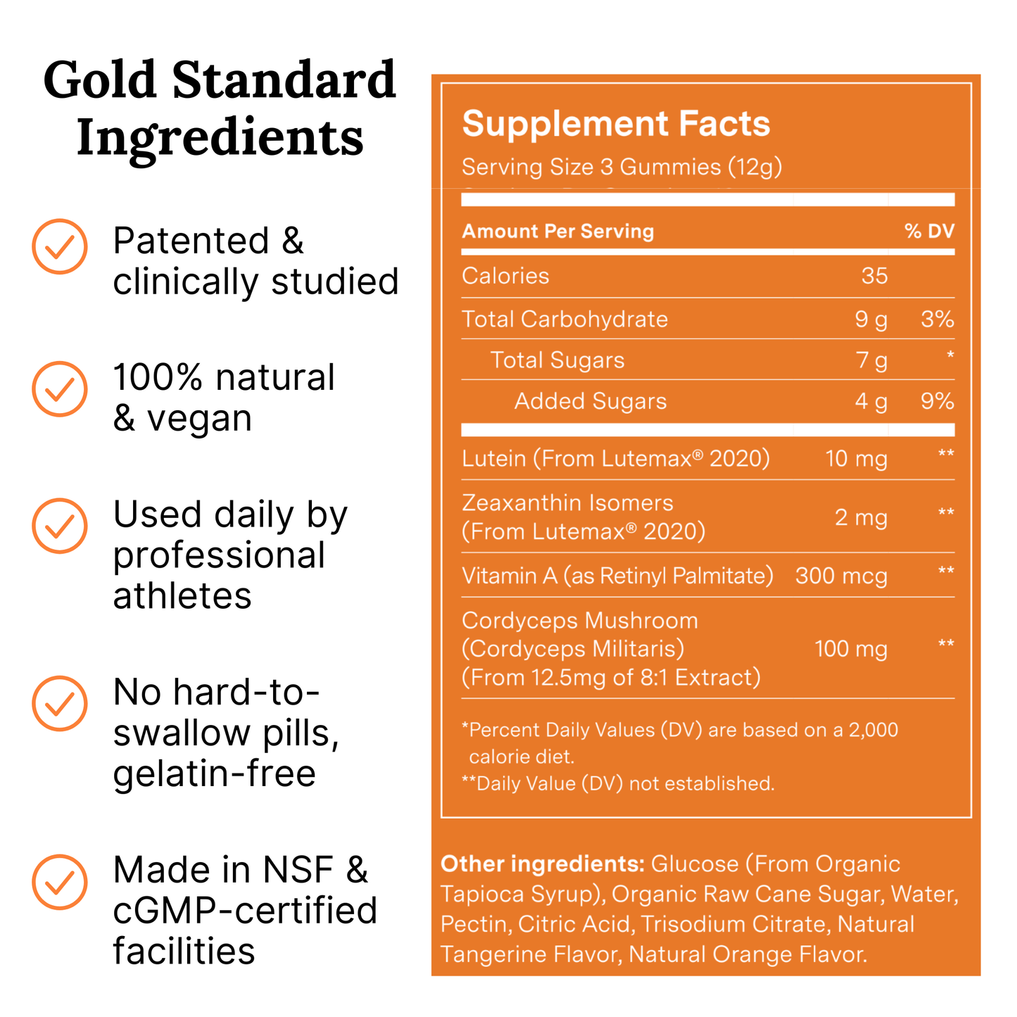 Recovery Gummies - Focus