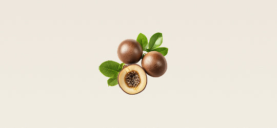 Monk Fruit