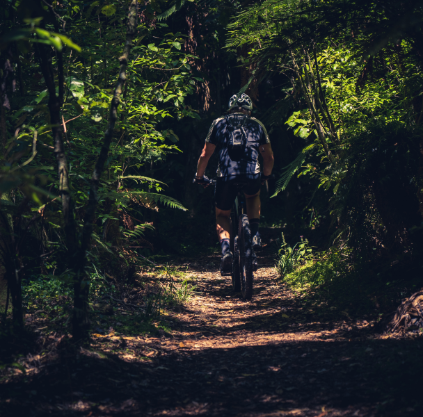Man biking on a trail