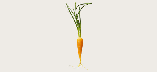 Vitamin A