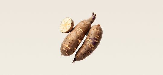 Yacon