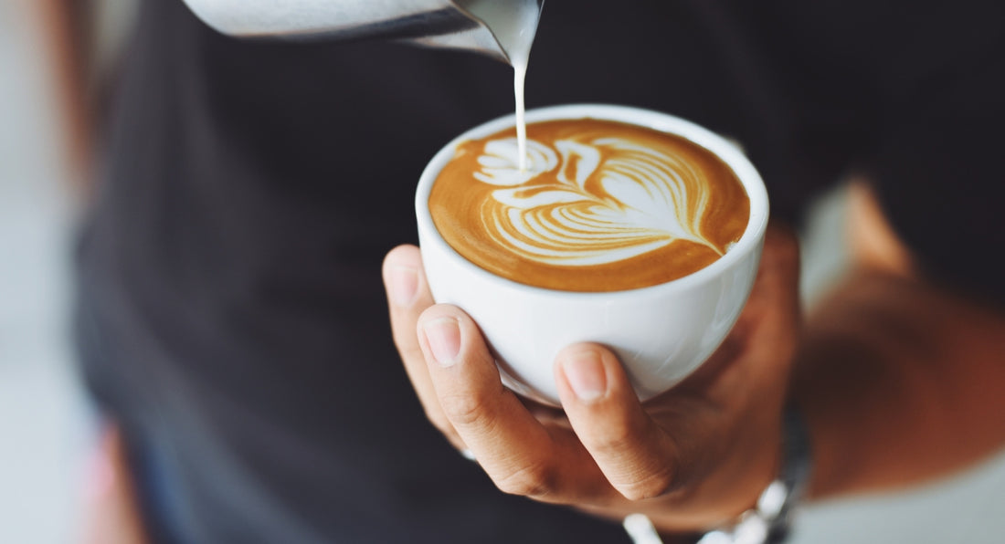 Pause Kava Bar And Coffee House