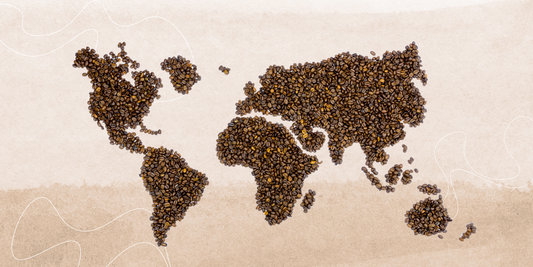 Why You Should Care Where Your Coffee Is Grown