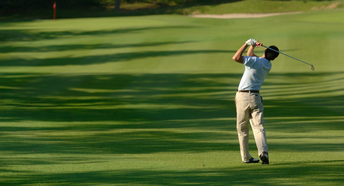 Getting the Most from Your Collagen: A Scientific Guide to Supplement Success