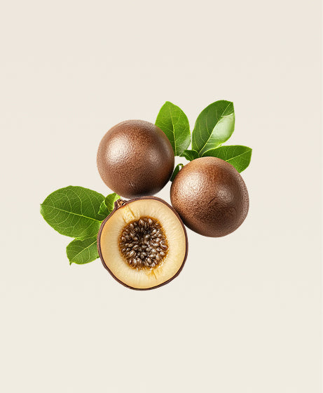 Monk Fruit