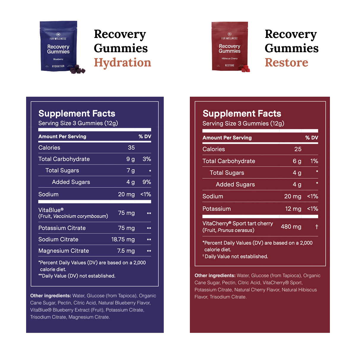 Recovery Duo: Restore & Hydrate Bundle