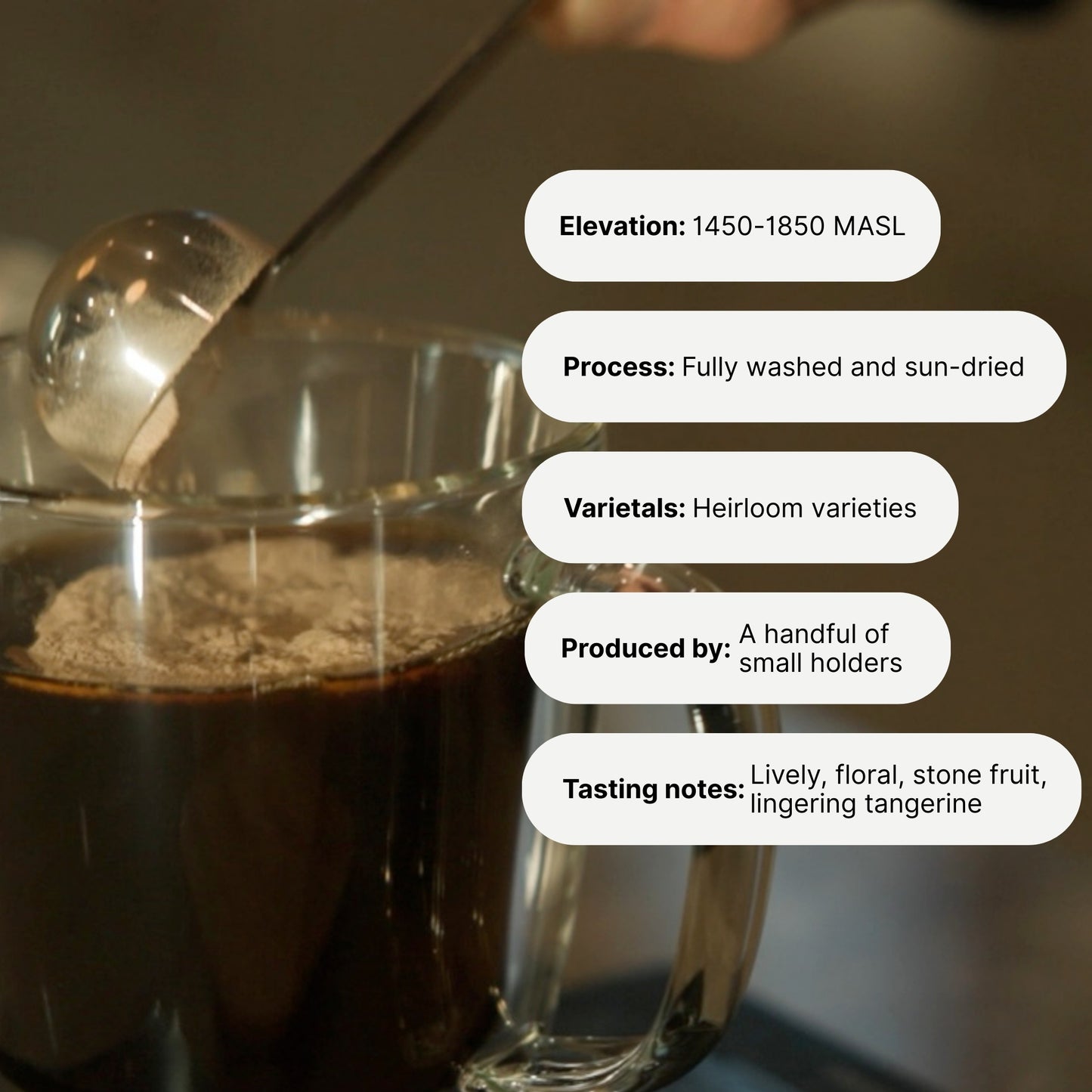 Ethiopian Yirgacheffe Ground Coffee