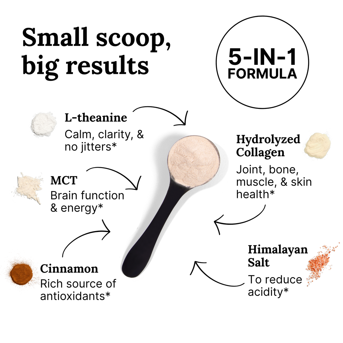 A Complete Guide to the Advantages of Adding L-Theanine to Your Coffee ...