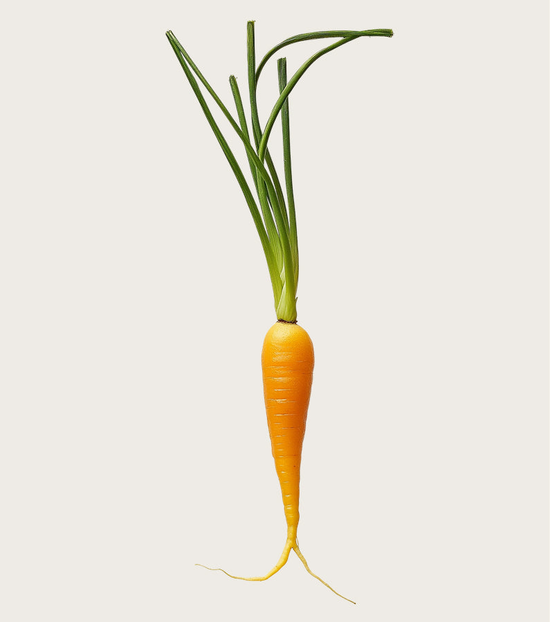 Vitamin A